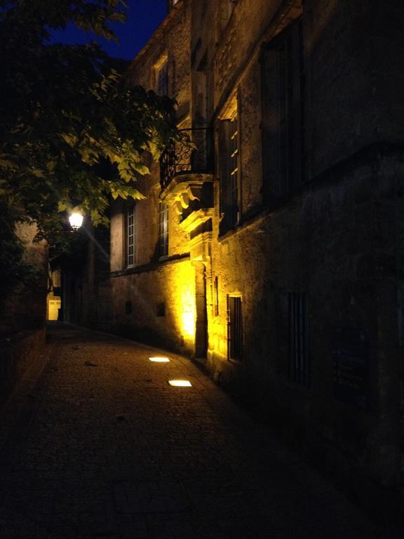 Hotel Particulier De Monmeja Sarlat-la-Canéda Exterior photo